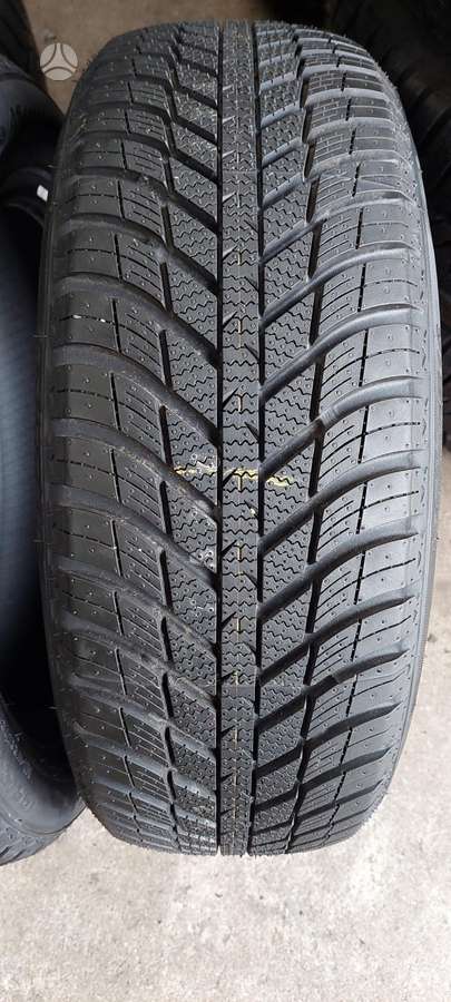 Nexen, winter 195/55 R16