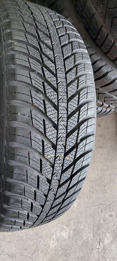 Nexen, winter 195/55 R16