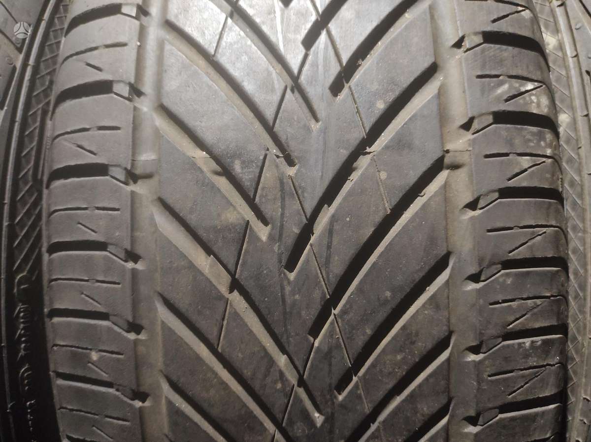 Bridgestone, vasarinės 255/55 R18