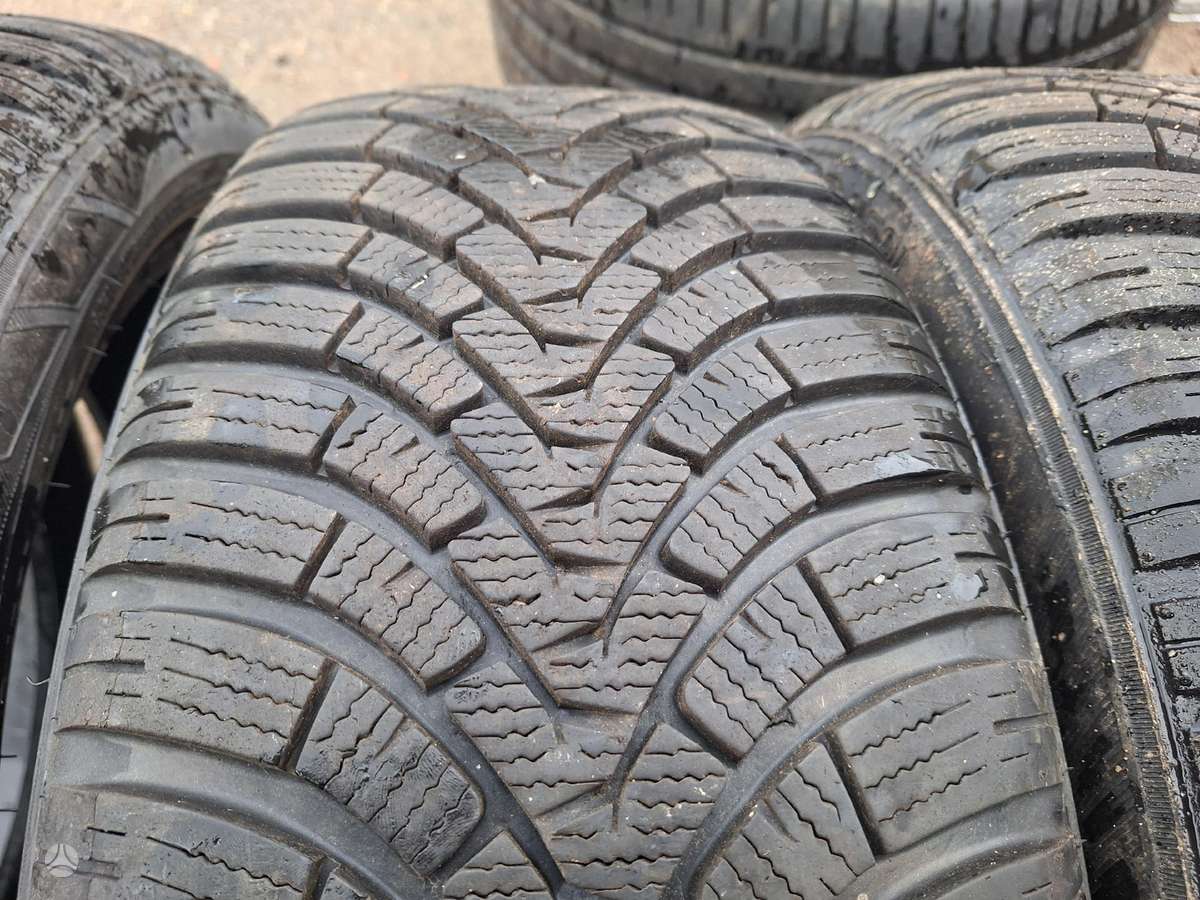 Falken, winter 215/50 R19