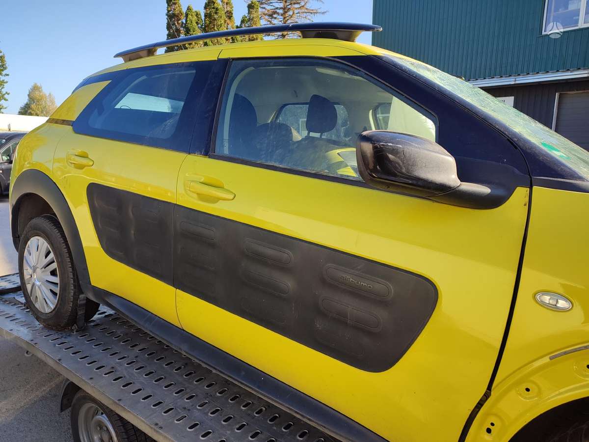 Citroen C4 Cactus Variklis hm01