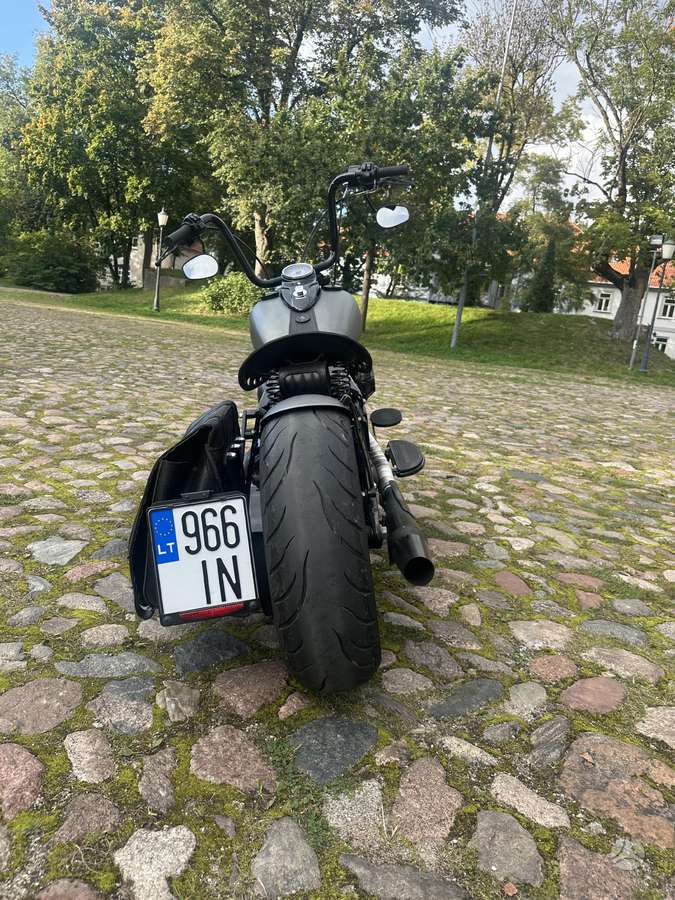 Harley-Davidson FLSTC 1584cc, choppers / cruisers / custom