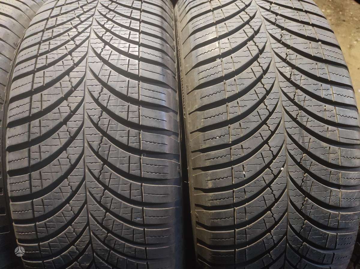 Pirelli, žieminės 225/55 R18