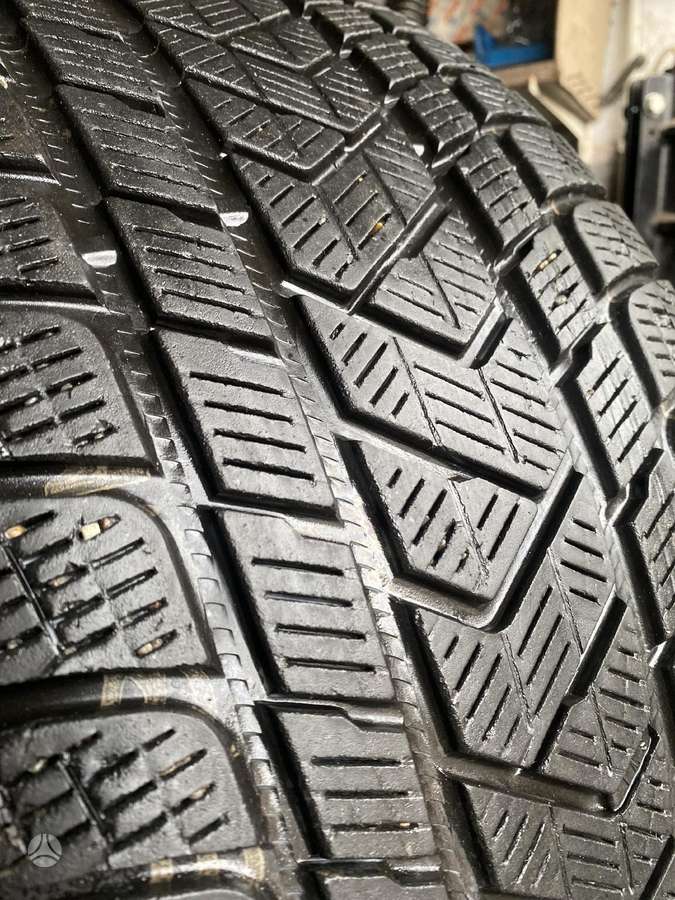 Pirelli, žieminės 265/50 R19