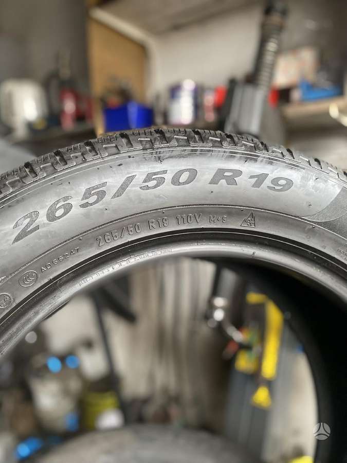 Pirelli, žieminės 265/50 R19