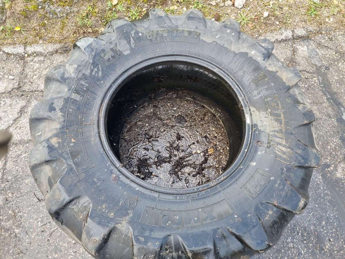 Michelin