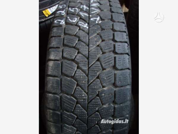 Bridgestone (Daug zieminiu), vasarinės 225/65 R17