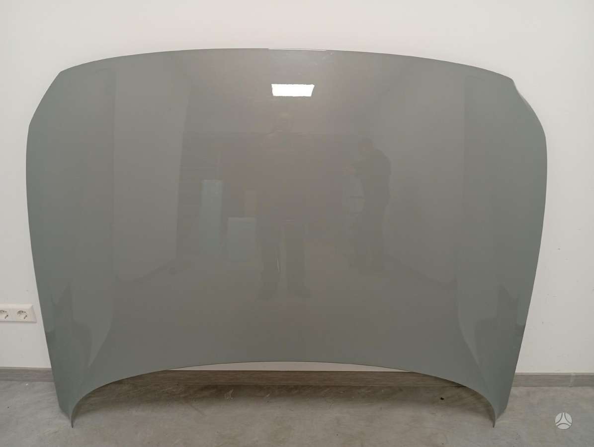 Polestar 2 hood (front, rear), bumpers