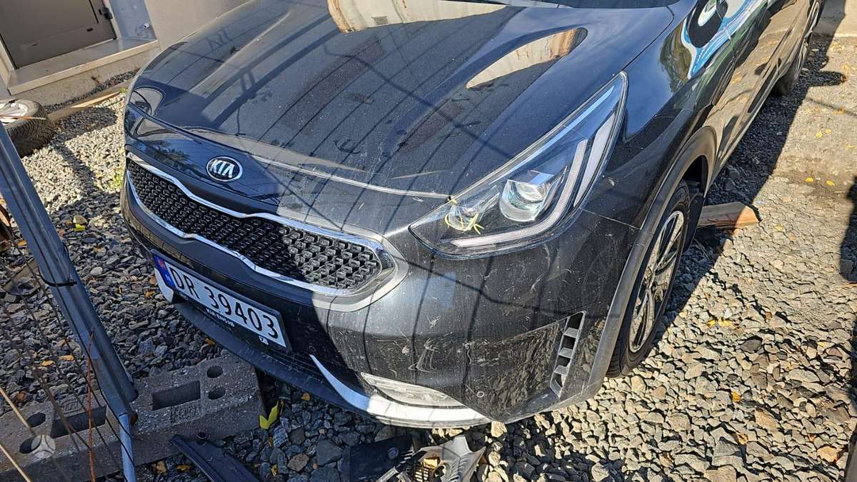 Kia Niro dalimis