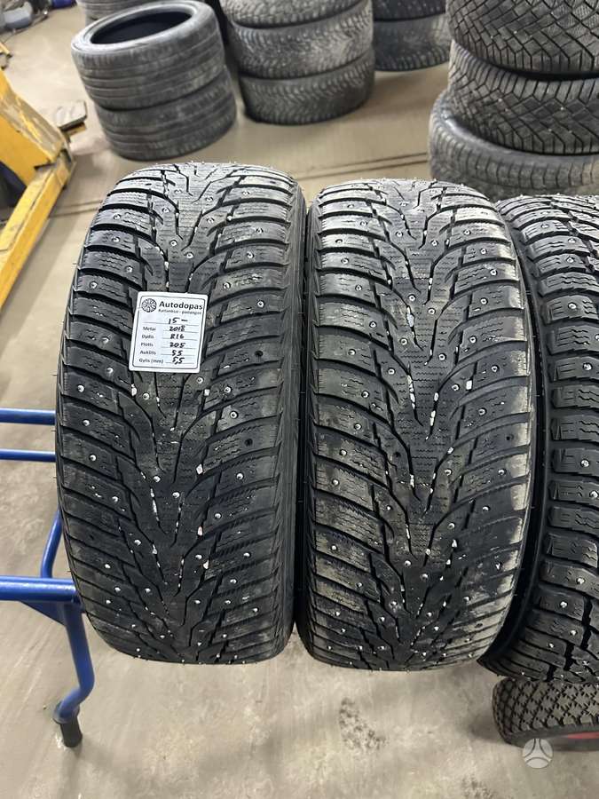 Nexen, winter 205/55 R16