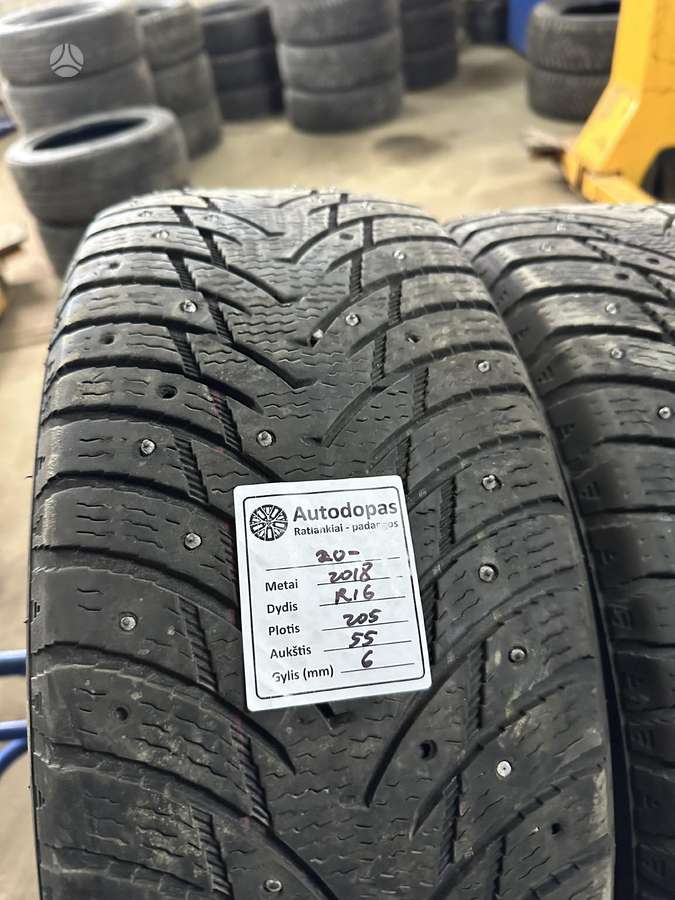 Nankang, winter 205/55 R16