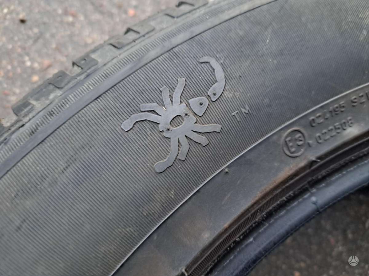 Pirelli Scorpion, žieminės 255/55 R19