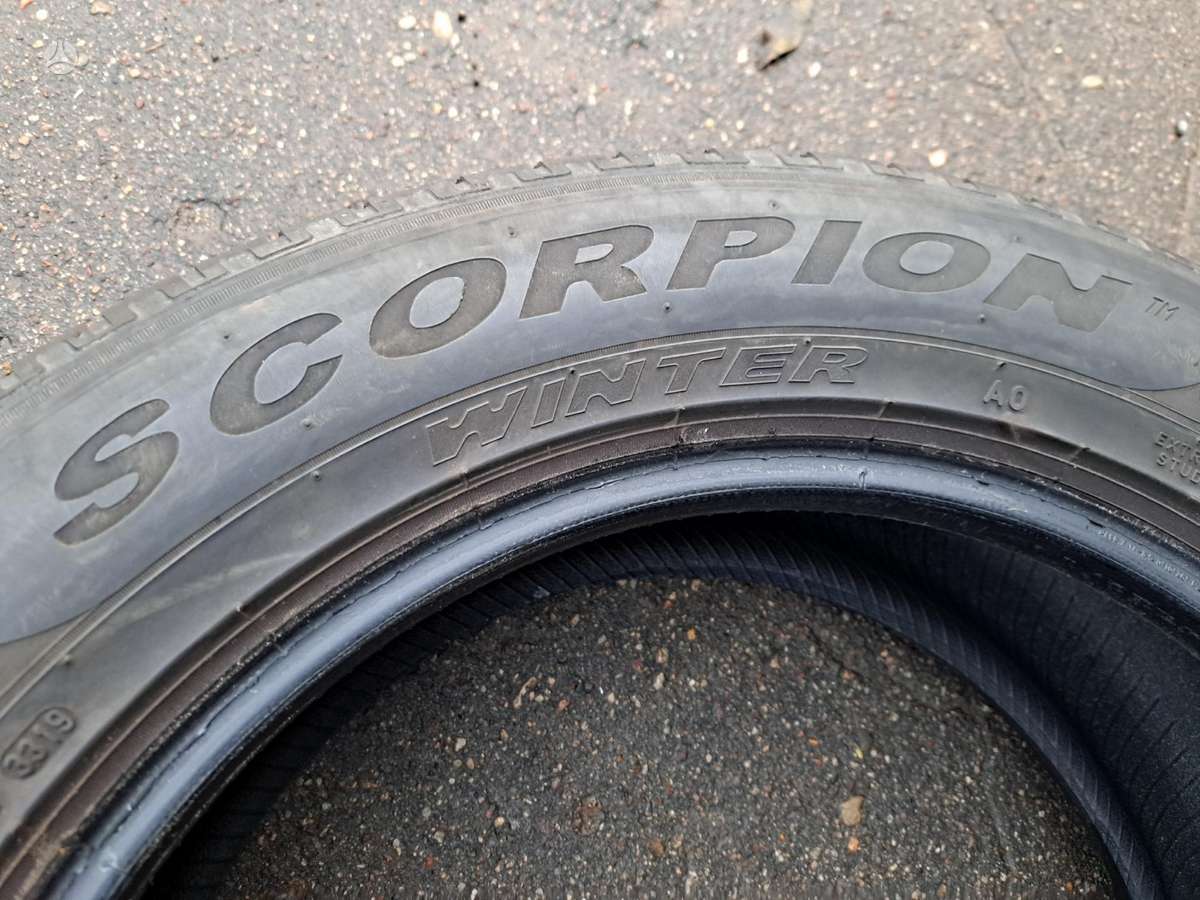 Pirelli Scorpion, žieminės 255/55 R19