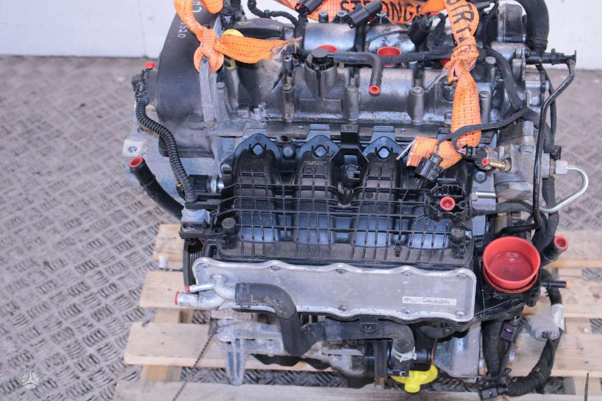 Volkswagen Golf, CHP, Variklis chp