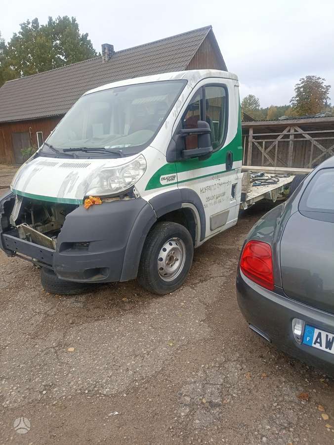 Fiat Ducato, krovininiai mikroautobusai