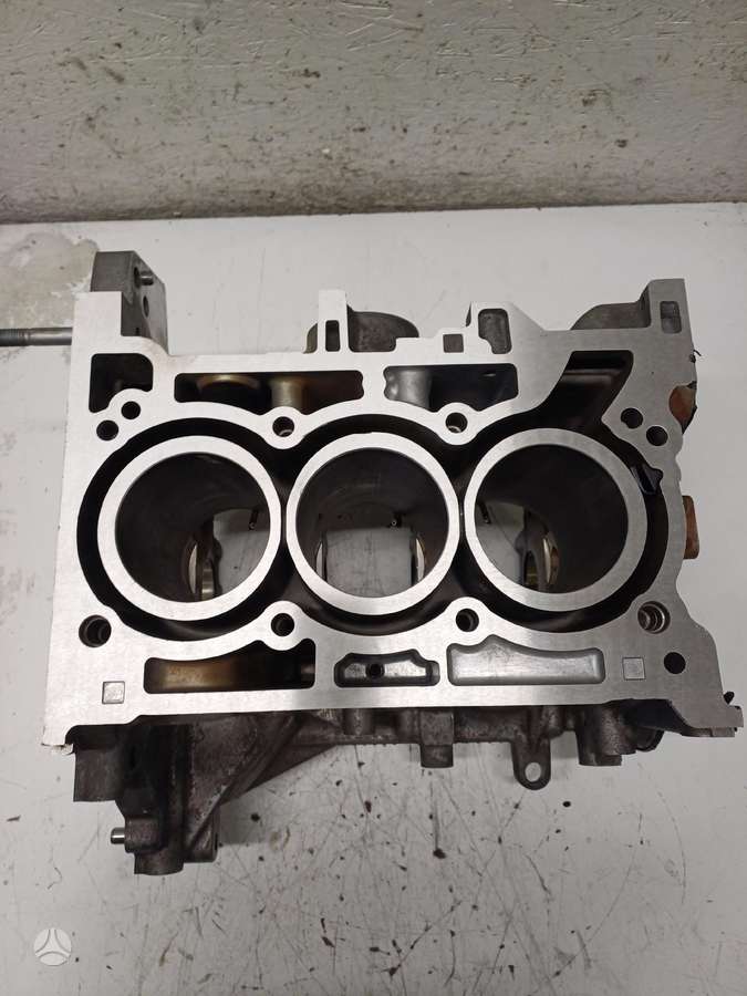 Renault Captur, 110116559R  4HBB, variklio blokas
