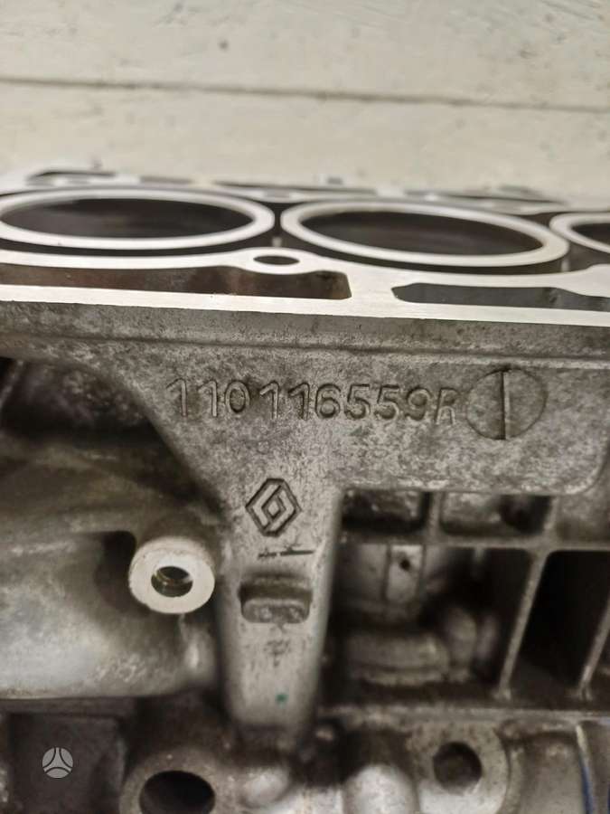 Renault Captur, 110116559R  4HBB, variklio blokas