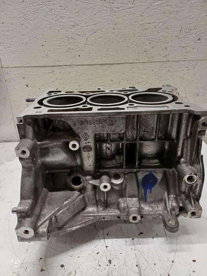 Renault Captur, 110116559R  4HBB, variklio blokas