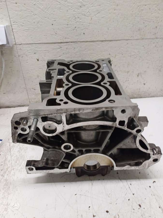 Renault Captur, 110116559R  4HBB, variklio blokas