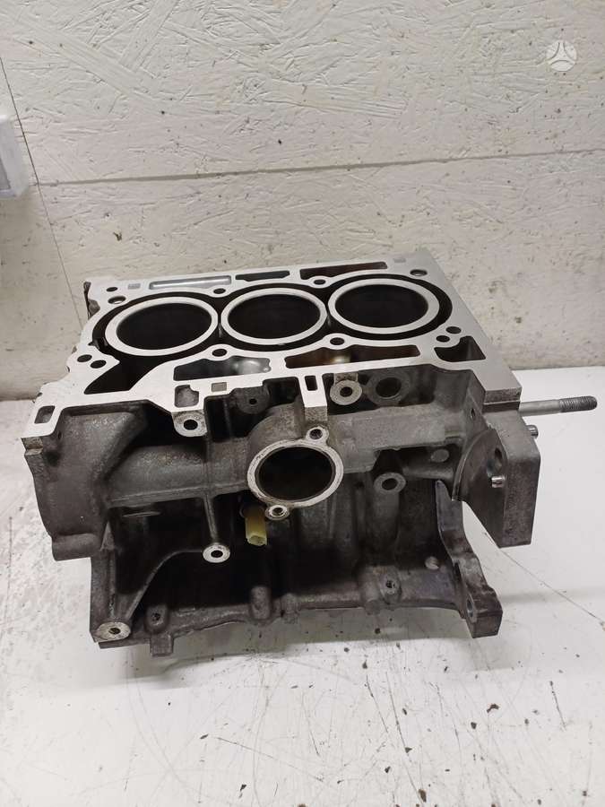Renault Captur, 110116559R  4HBB, variklio blokas