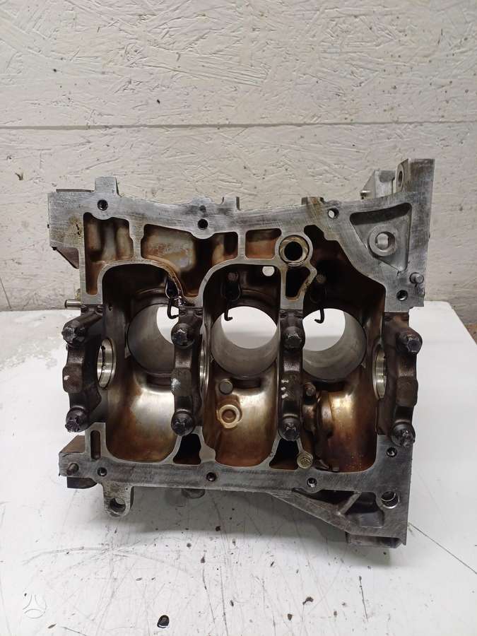Renault Captur, 110116559R  4HBB, variklio blokas