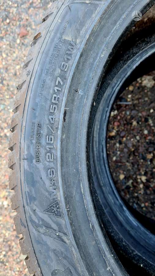 Goodyear, žieminės 215/45 R17