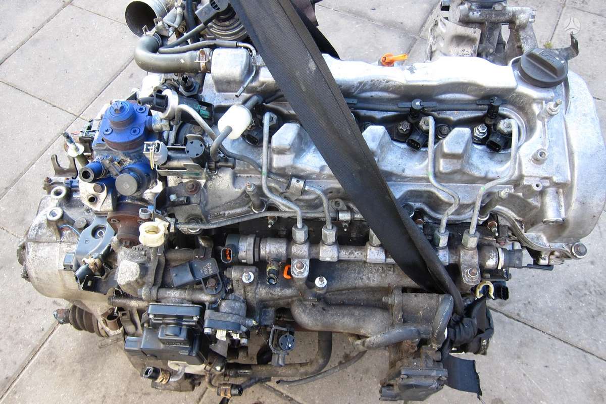 Honda Accord Variklio kodas n22b1