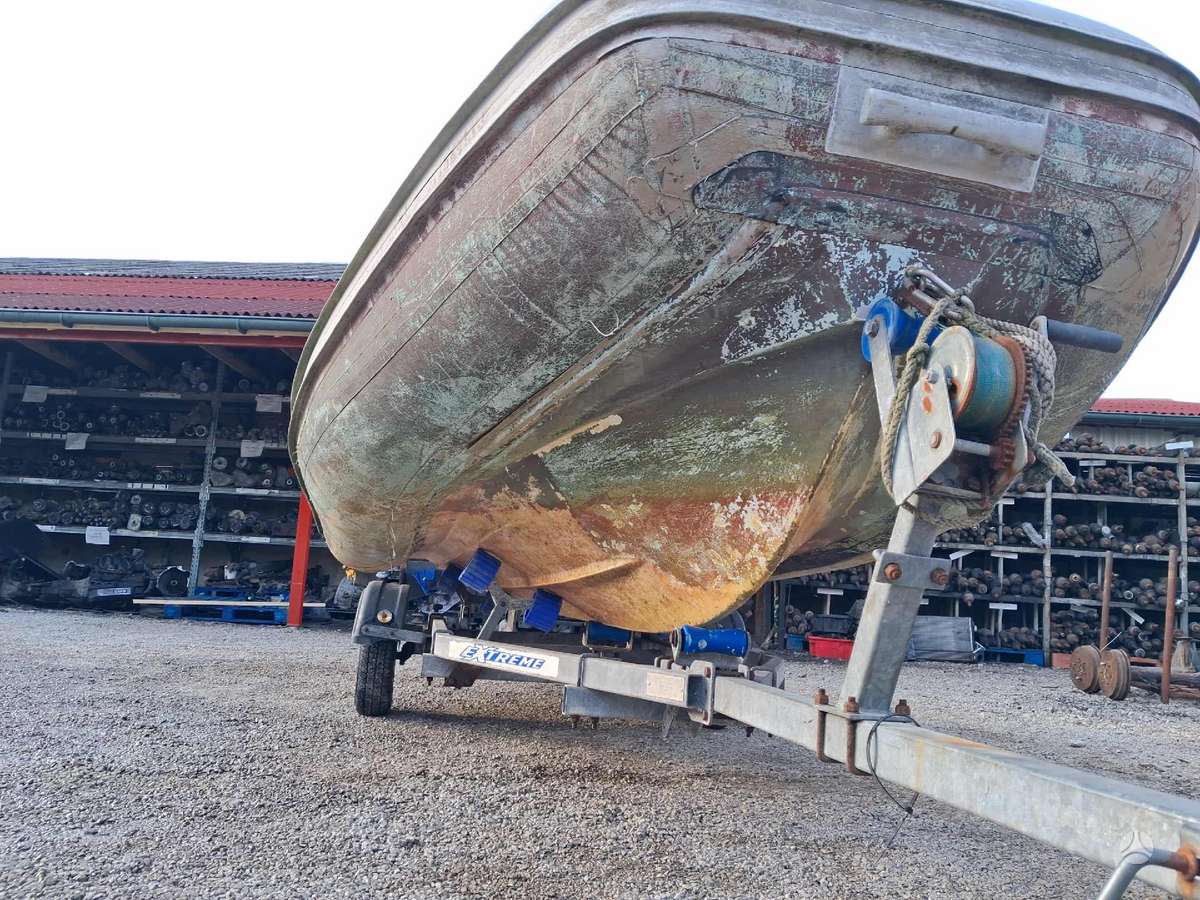 Apex, rib laivas