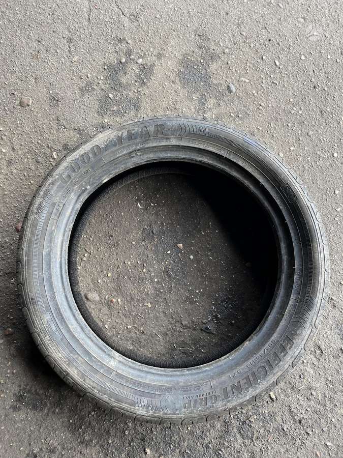 Goodyear EFFICIENT GRIP Preformance, vasarinės 205/55 R19