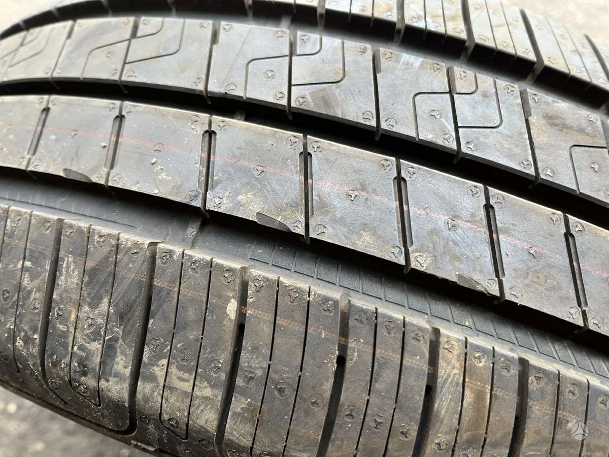 Goodyear EFFICIENT GRIP Preformance, vasarinės 205/55 R19