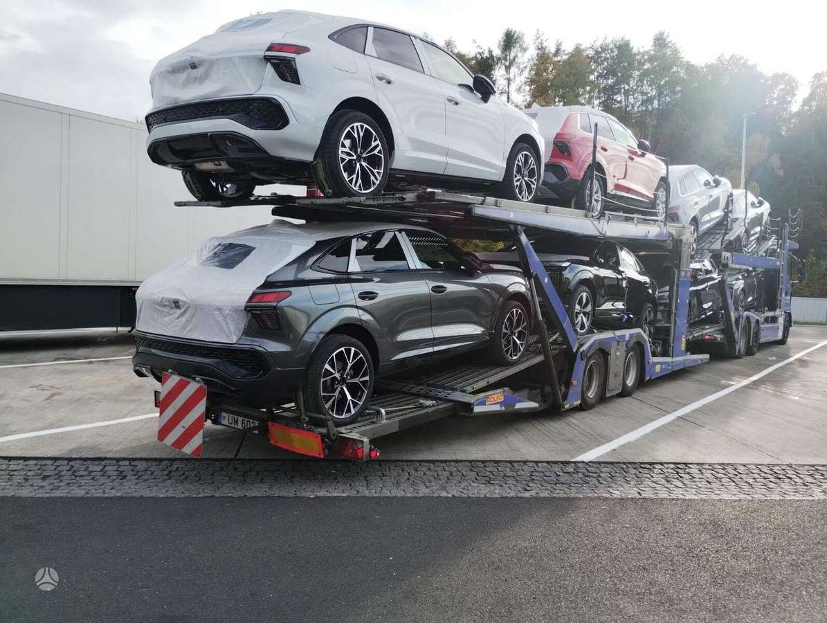 MAN Rolfo 2019, autovežiai