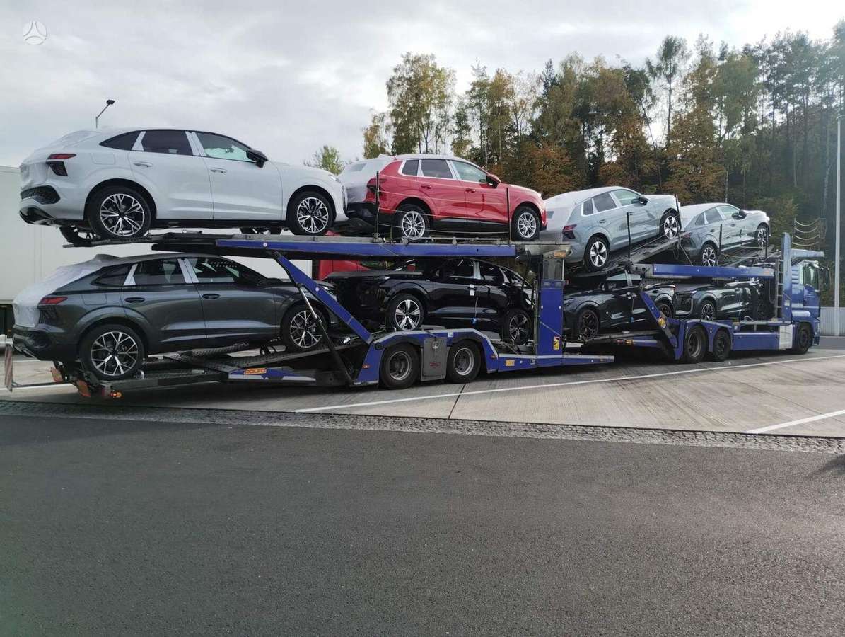 MAN Rolfo 2019, autovežiai