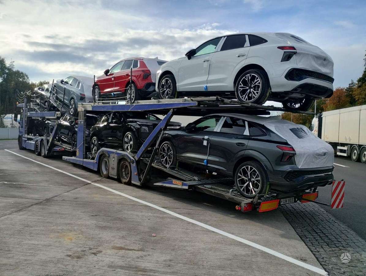 MAN Rolfo 2019, autovežiai