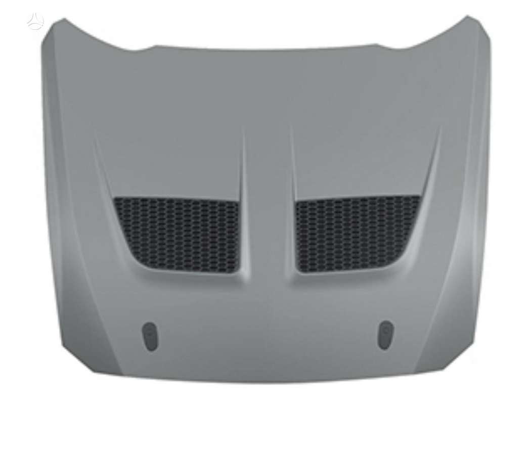 Ford Mustang hood (front, rear)