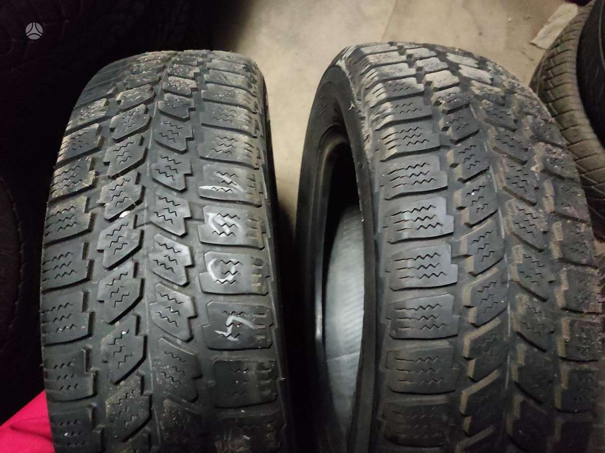 Michelin VasarinesUniversaliosZiemines, universalios 175/65 R15