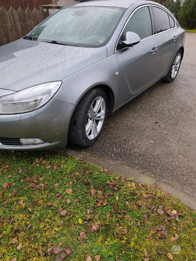 Opel Insignia Z179 spalva