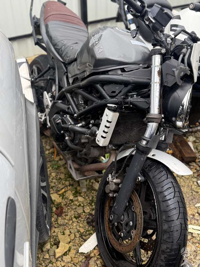 Suzuki SV 650cc, street / classic