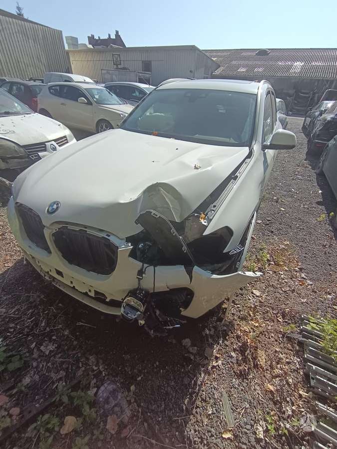 BMW X3 dalimis