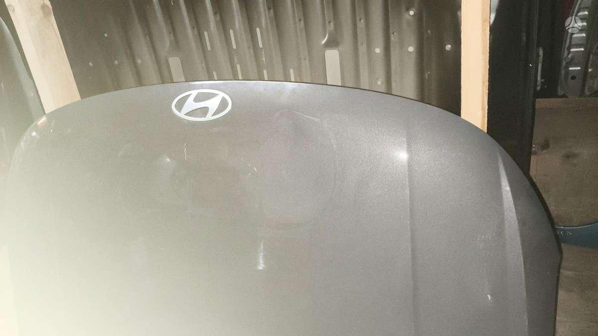 Hyundai Kona kėbulo dalys