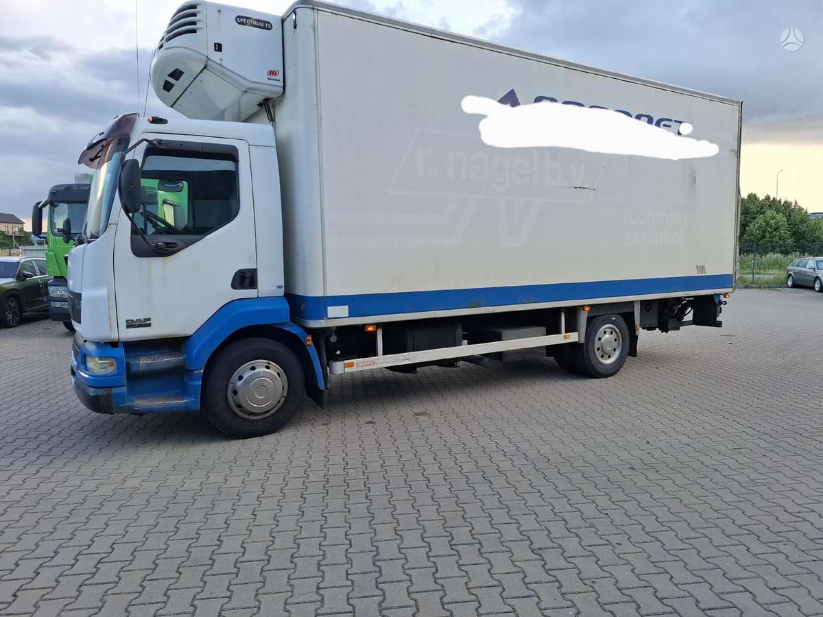 DAF AE55CF, refrigerated trucks