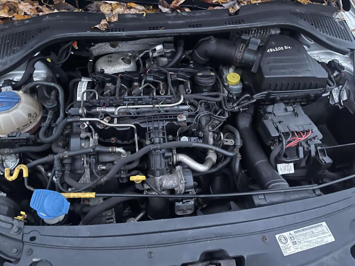 Skoda Rapid dalimis