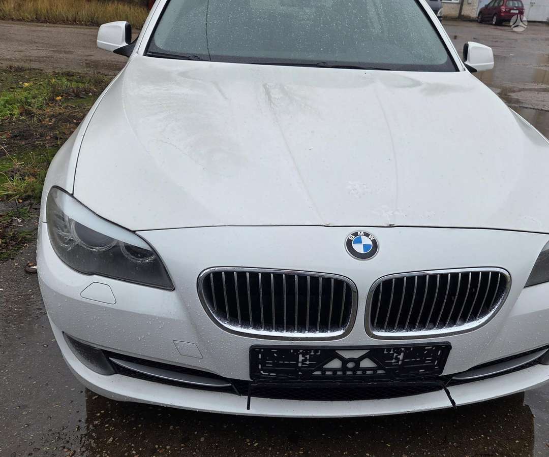 BMW 530 Europa alpine 300 spalva