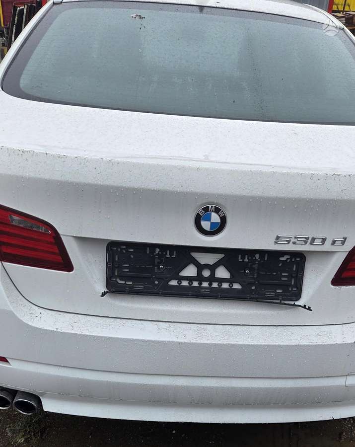 BMW 530 Europa alpine 300 spalva