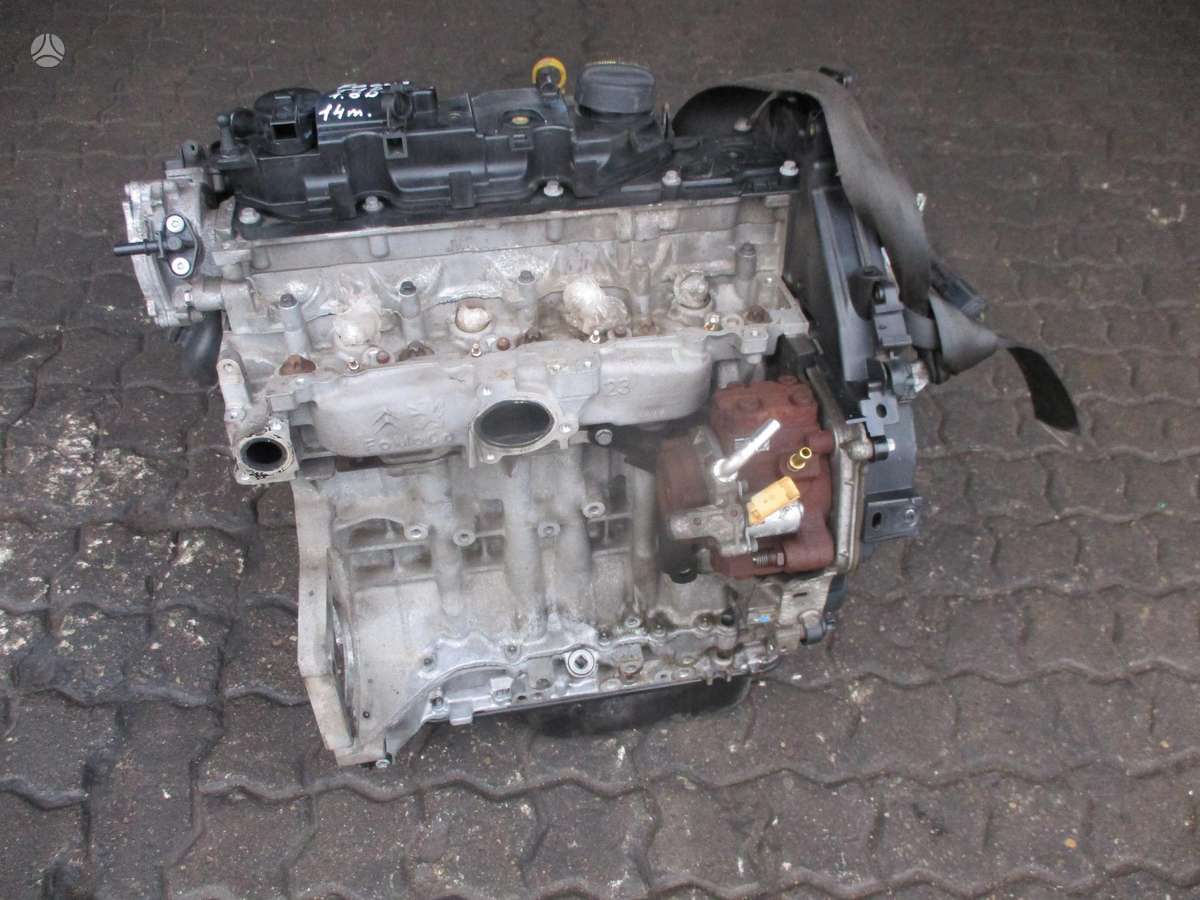 Ford Focus Variklis 1 6d t1da