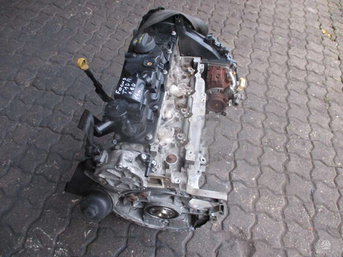 Ford Focus Variklis 1 6d t1da