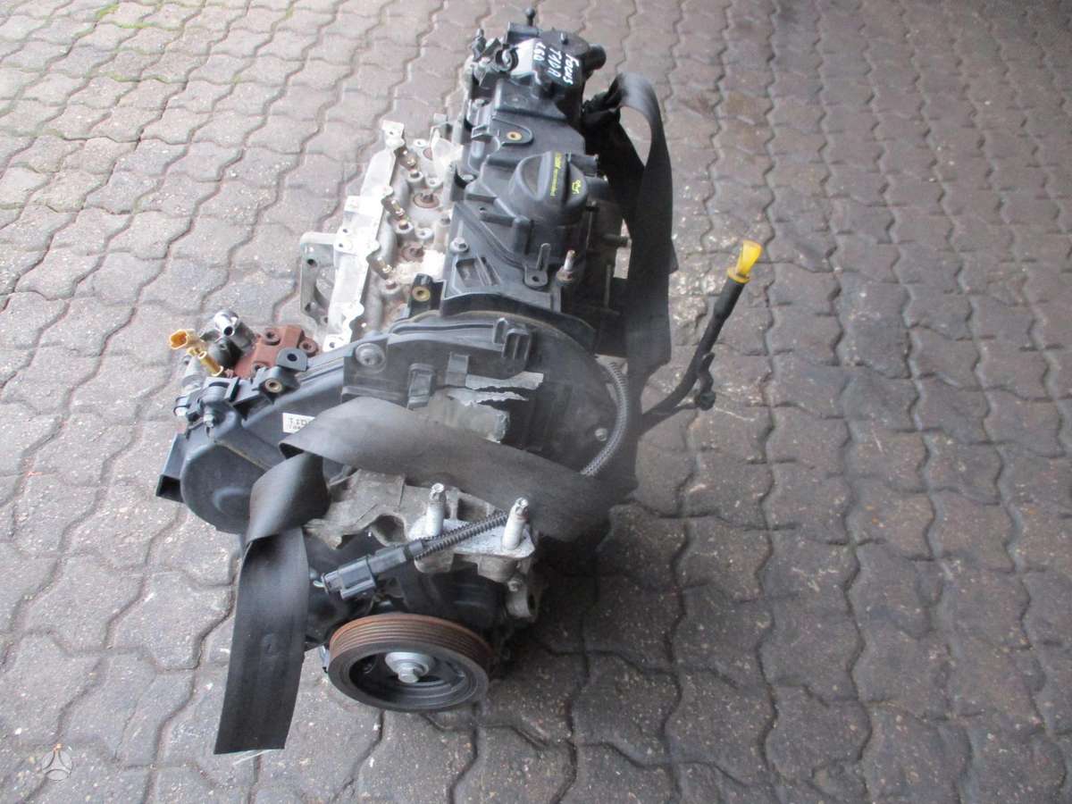 Ford Focus Variklis 1 6d t1da