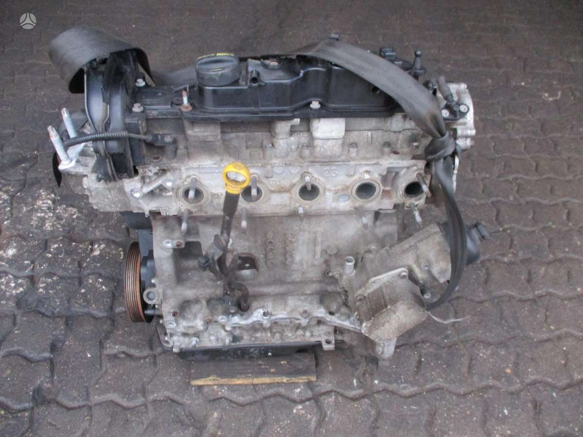 Ford Focus Variklis 1 6d t1da