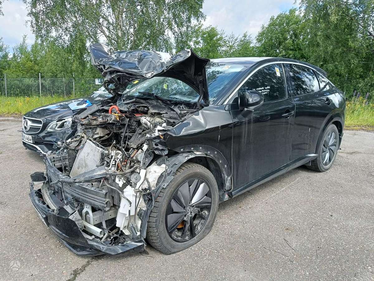 Nissan ARIYA dalimis