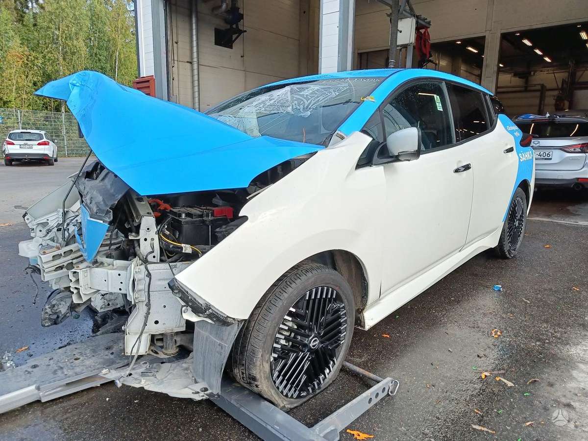 Nissan Leaf dalimis
