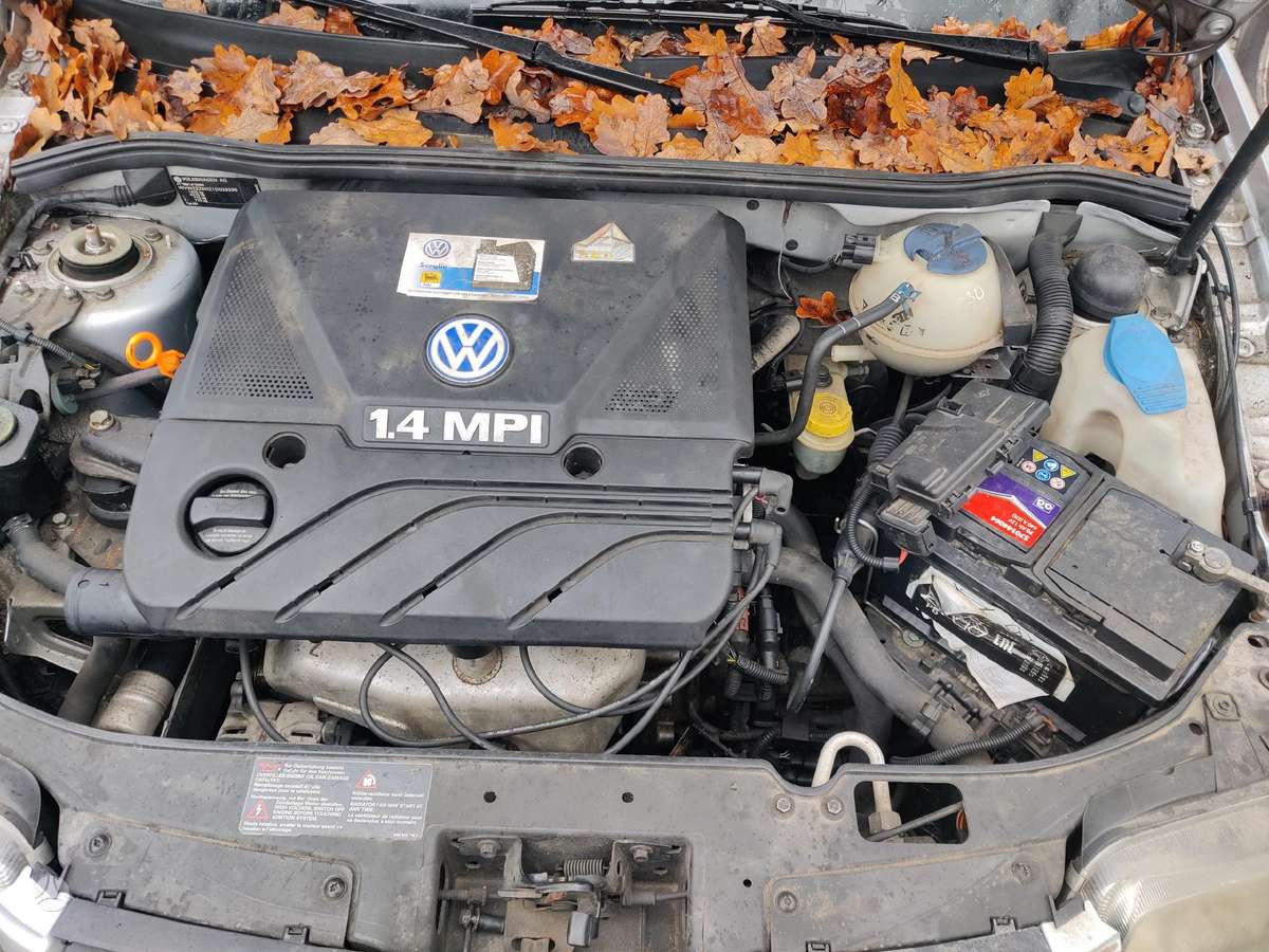 Volkswagen Polo dalimis